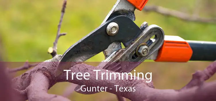 Tree Trimming Gunter - Texas