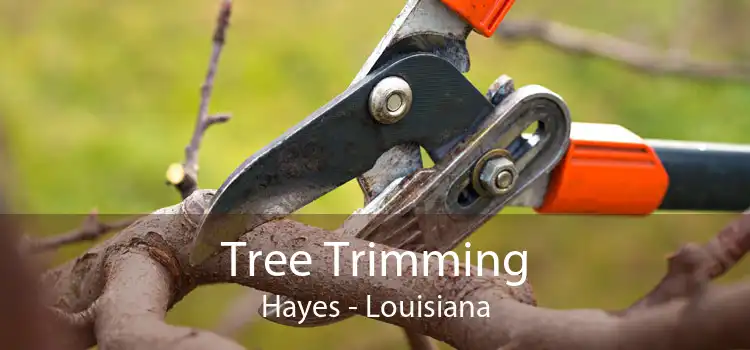 Tree Trimming Hayes - Louisiana