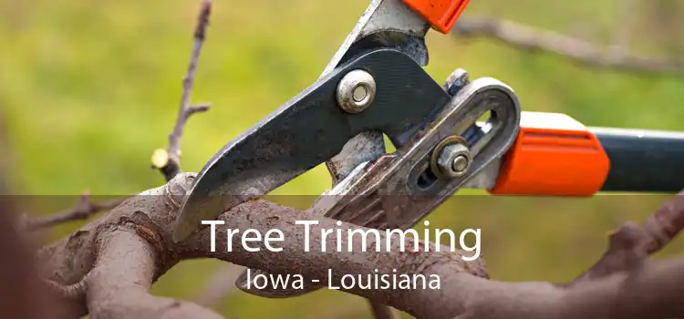 Tree Trimming Iowa - Louisiana