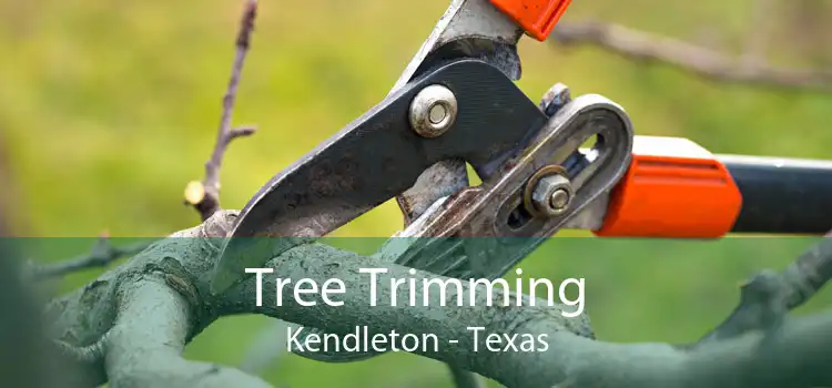 Tree Trimming Kendleton - Texas