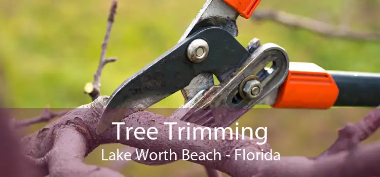 Tree Trimming Lake Worth Beach - Florida