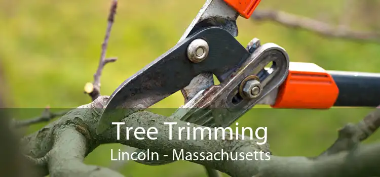 Tree Trimming Lincoln - Massachusetts