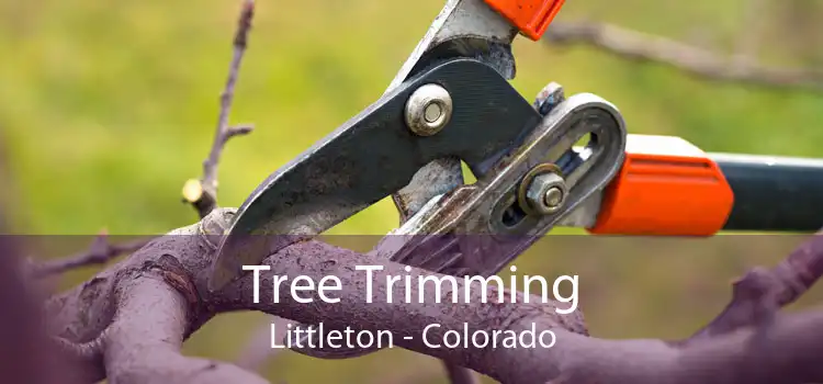 Tree Trimming Littleton - Colorado