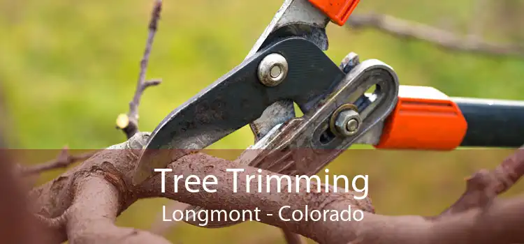 Tree Trimming Longmont - Colorado