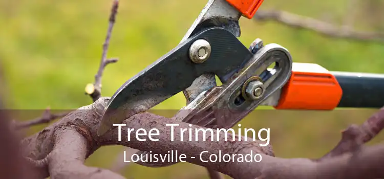 Tree Trimming Louisville - Colorado