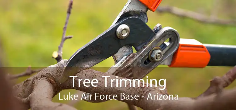 Tree Trimming Luke Air Force Base - Arizona