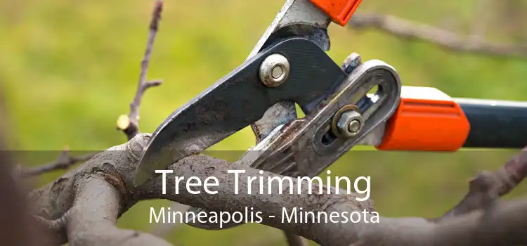 Tree Trimming Minneapolis - Minnesota