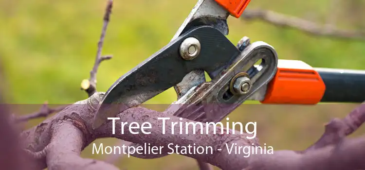 Tree Trimming Montpelier Station - Virginia