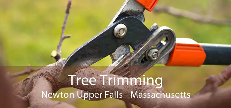 Tree Trimming Newton Upper Falls - Massachusetts