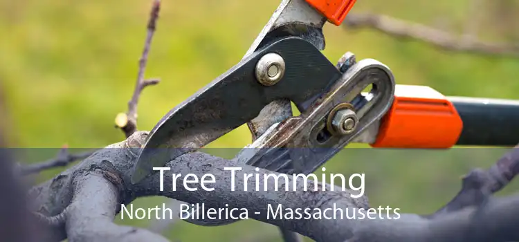 Tree Trimming North Billerica - Massachusetts