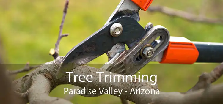 Tree Trimming Paradise Valley - Arizona