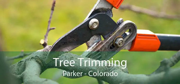 Tree Trimming Parker - Colorado