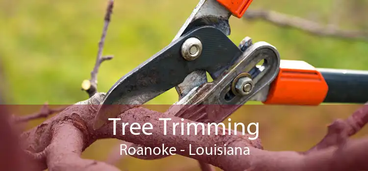 Tree Trimming Roanoke - Louisiana