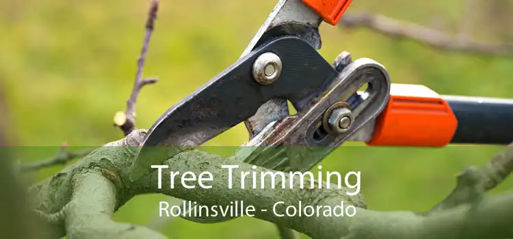 Tree Trimming Rollinsville - Colorado