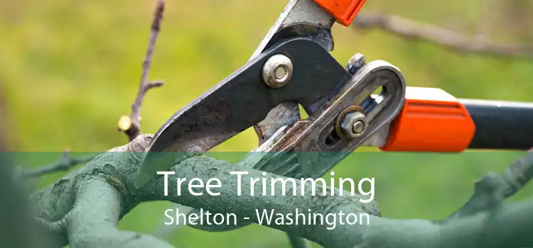 Tree Trimming Shelton - Washington