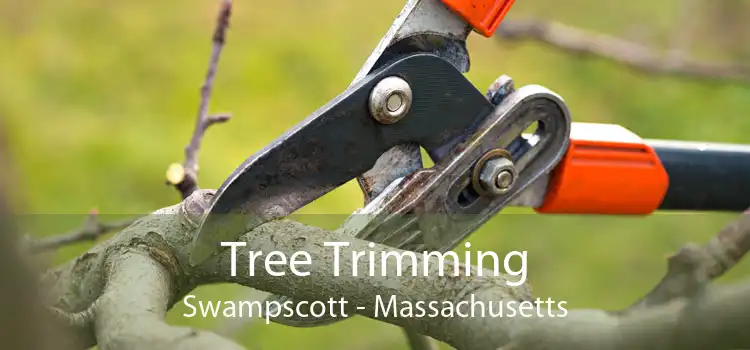 Tree Trimming Swampscott - Massachusetts