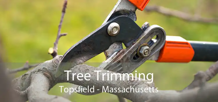 Tree Trimming Topsfield - Massachusetts