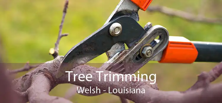 Tree Trimming Welsh - Louisiana