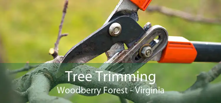 Tree Trimming Woodberry Forest - Virginia